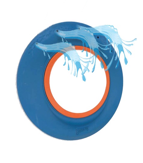 Chuckit hydro roller