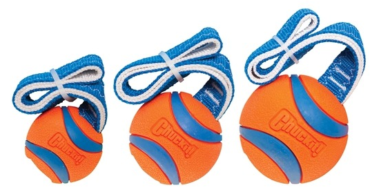 Chuckit! ultra tug