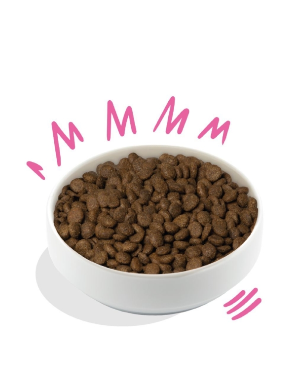 Edgard & Cooper plant-based Adult, græskar/rødbede 2,5 kg.