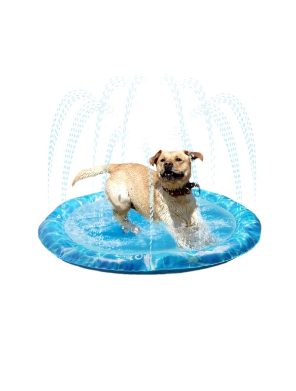 All For Paws chill out sprinkler fun måtte Large