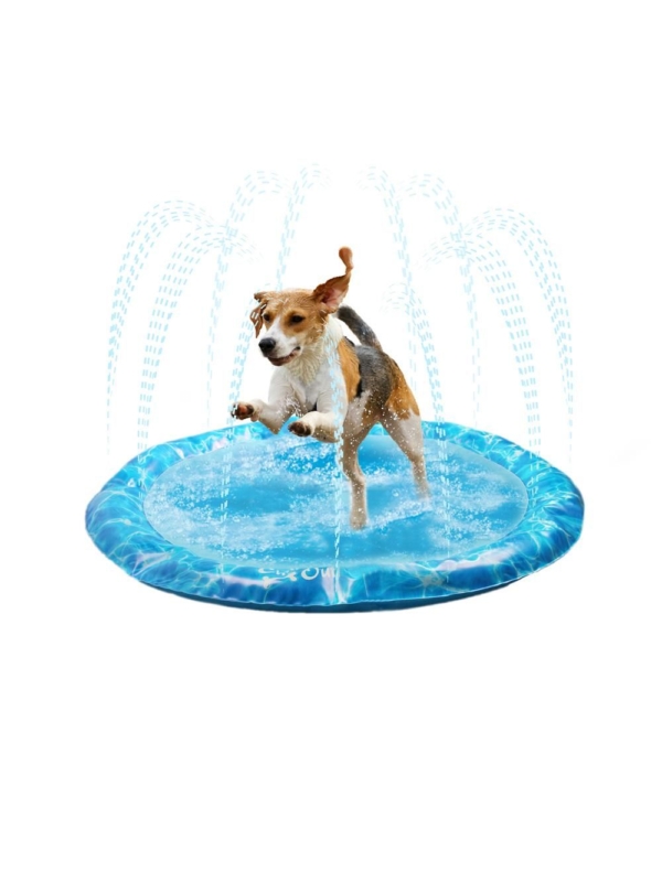 All For Paws chill out sprinkler fun måtte Medium