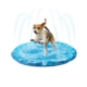 All For Paws chill out sprinkler fun måtte Medium