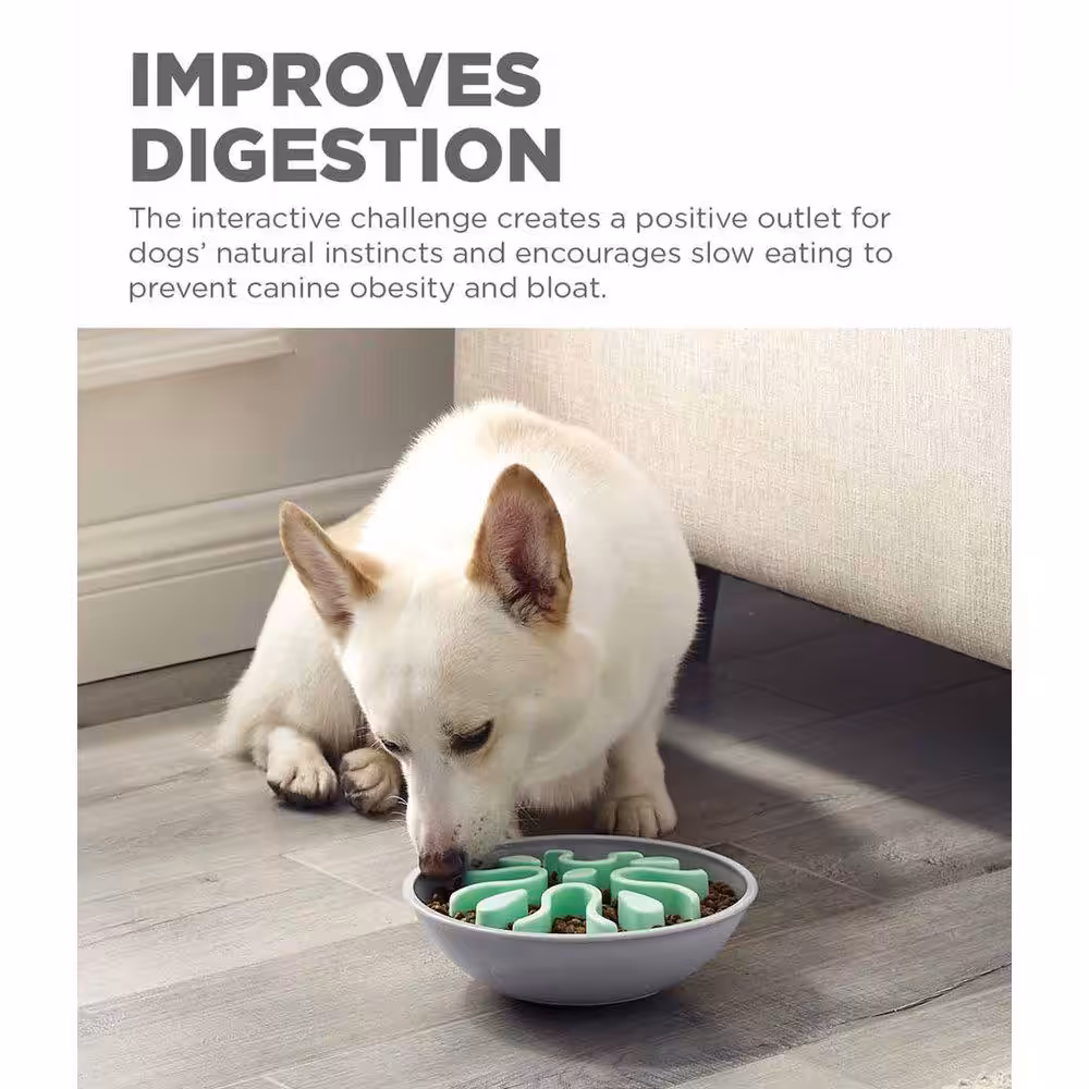 Outward Hound fun feeder wobble slo bowl
