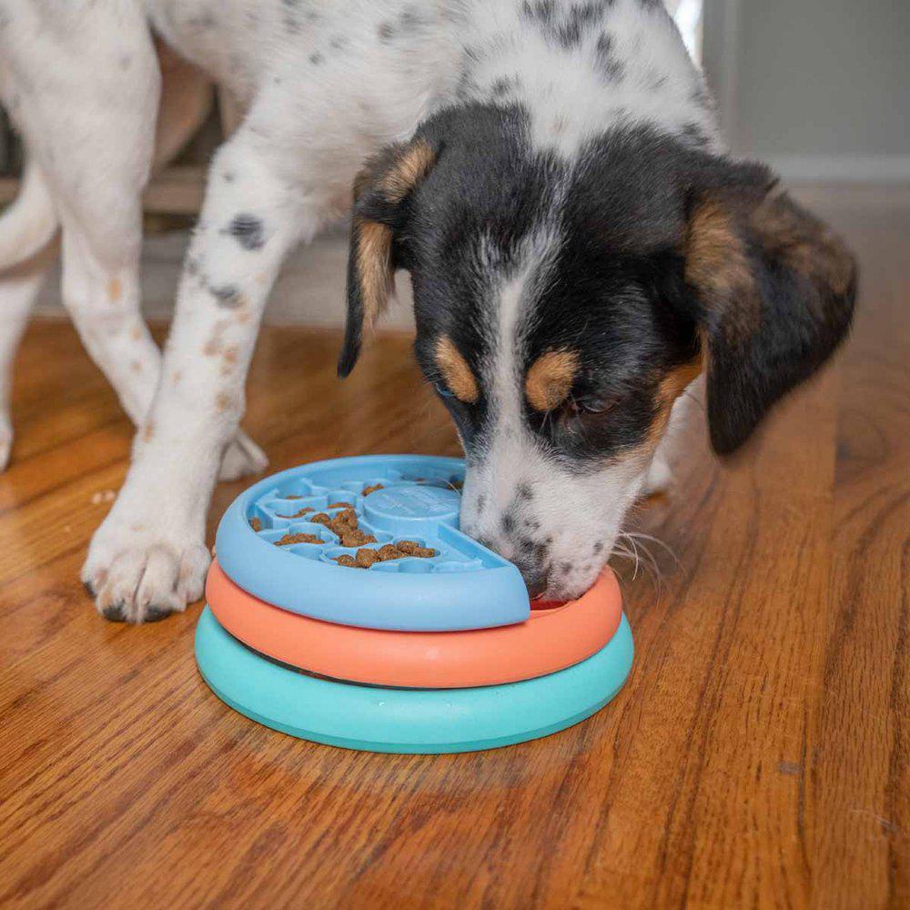 Nina Ottosson outward hound puppy lickin layer.