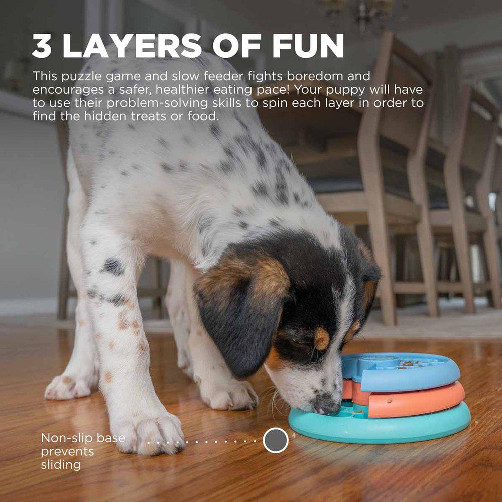 Nina Ottosson outward hound puppy lickin layer.