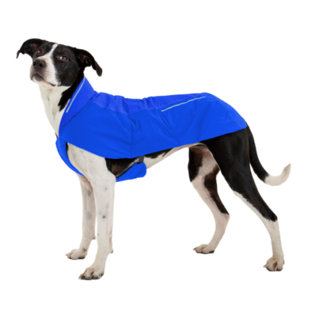 Ruffwear Vert™ winter dog coat Blue Pool