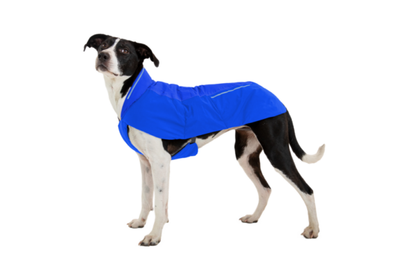 Ruffwear Vert™ winter dog coat Blue Pool