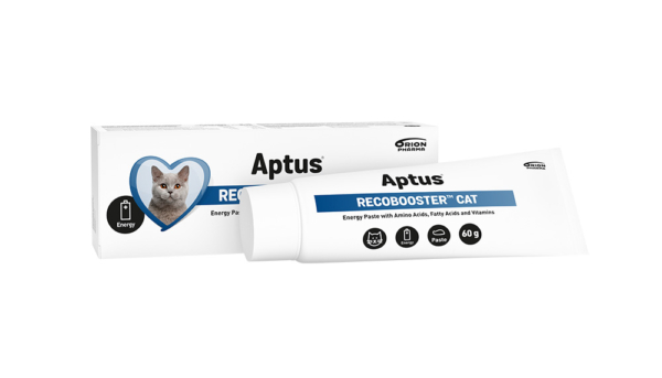 Aptus Recovery booster kat