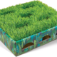 Catstages Hunt N´ find grass patch box