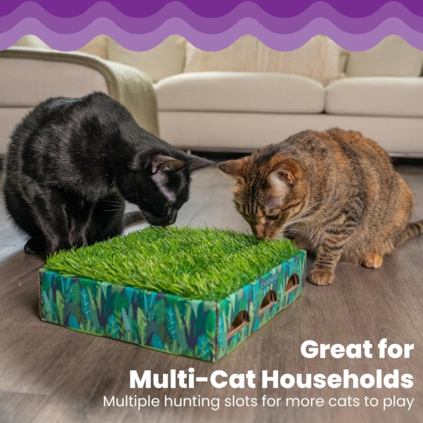 Catstages Hunt N´ find grass patch box