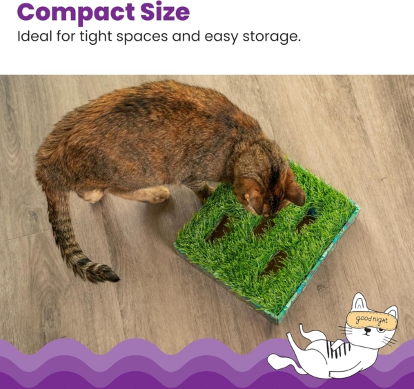 Catstages Hunt N´ find grass patch box