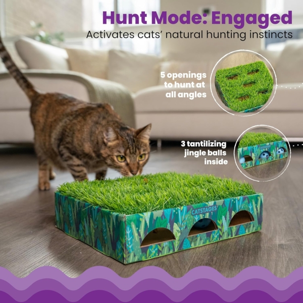 Catstages Hunt N´ find grass patch box