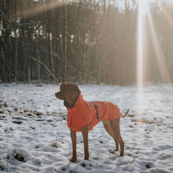 Hunter hundefrakke Nordby, orange