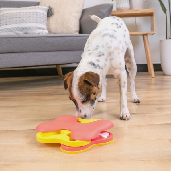 Nina Ottosson Dog tornado