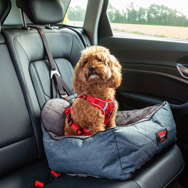 Kong hundeautostol