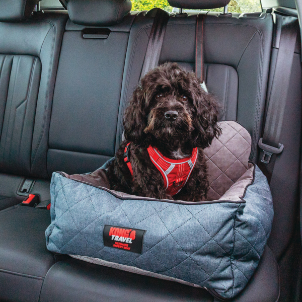 Kong hundeautostol