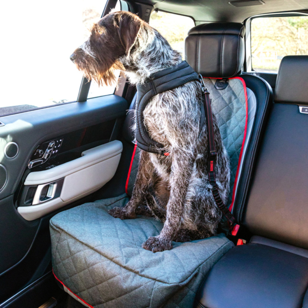 Kong Cargo Swivel tether