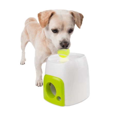 All For Paws Interactives Fetch´N treat