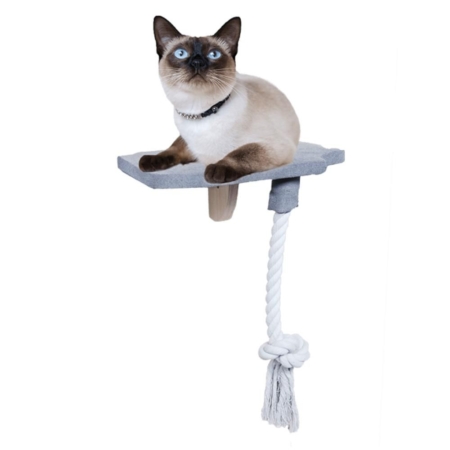 All For Paws Skywalk step in platform
