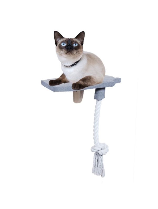 All For Paws Skywalk step in platform