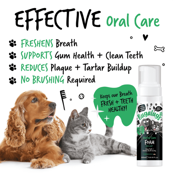 Bugalugs dental care foam in fresh mint 200 ml.