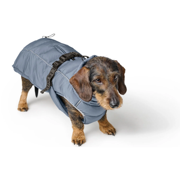 Hunter hundefrakke Paxson til gravhund, blå - Billede 6
