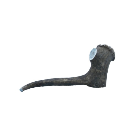 Deer Antler XXLarge 220-300 g.