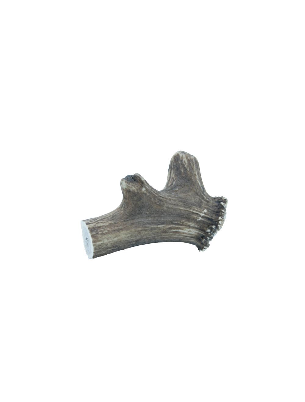 Deer Antler XXLarge 220-300 g.