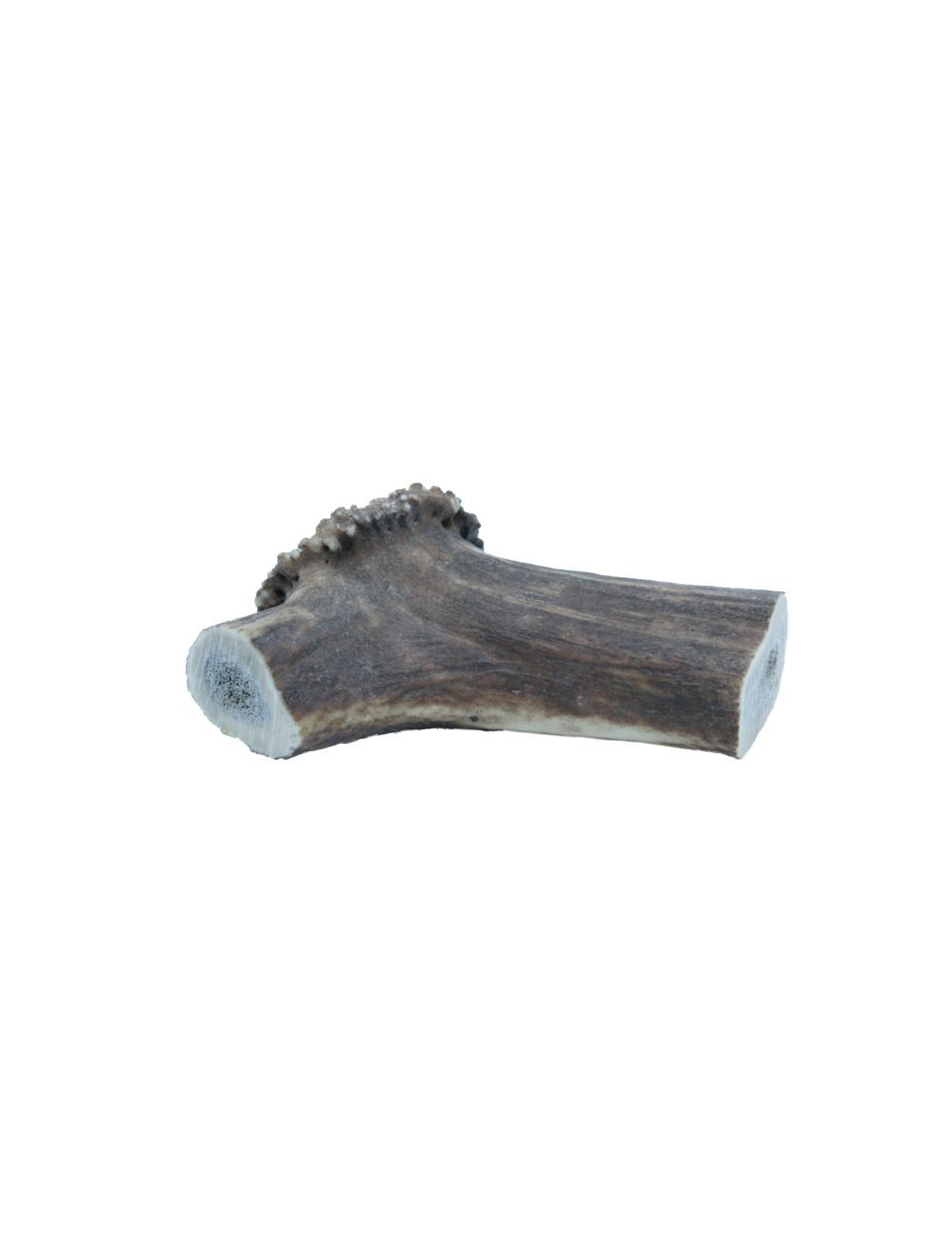 Deer Antler XXLarge 220-300 g.