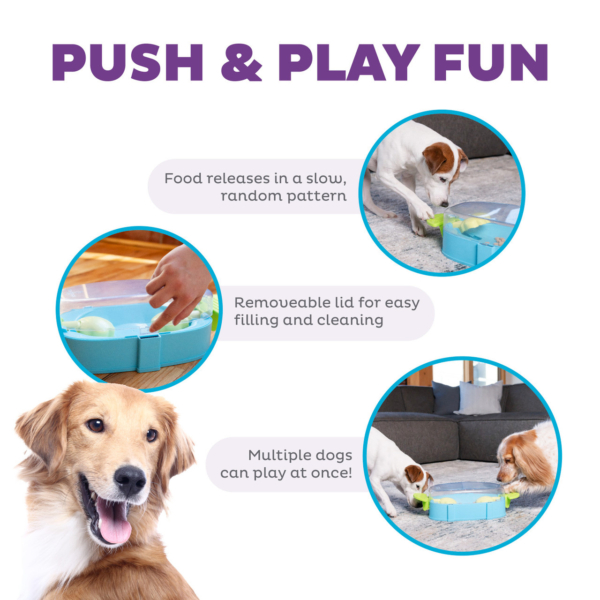 Nina Ottosson Outward hound Paw N´ play