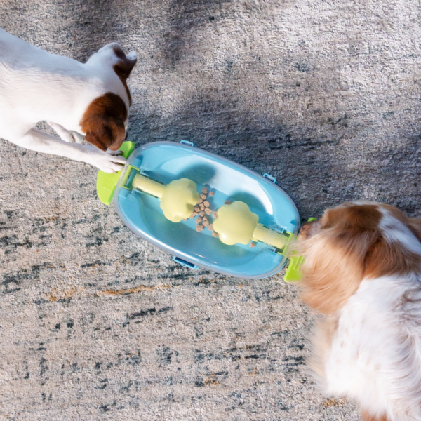 Nina Ottosson Outward hound Paw N´ play