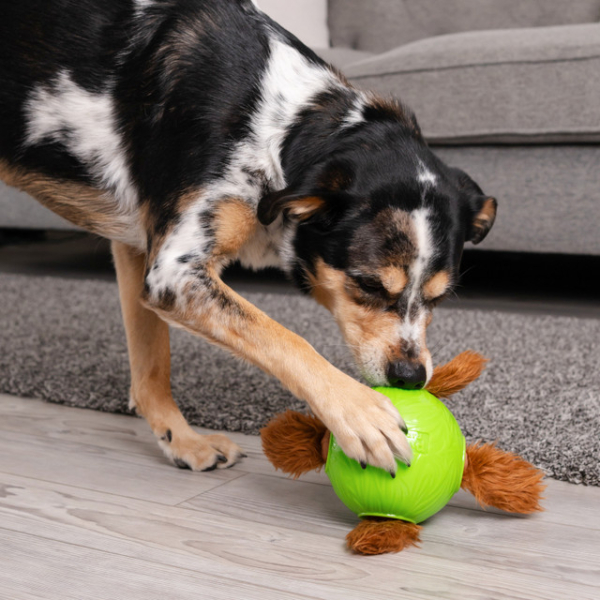 Nina Ottosson Outward hound dog snuffle N´ treat ball