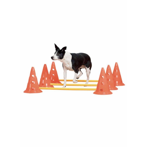 All For Paws Agility forhindringer med kegler 30 cm.
