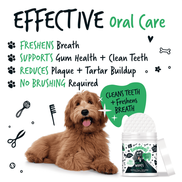 Bugalugs Dental Care Wipes in Fresh Mint - Billede 2