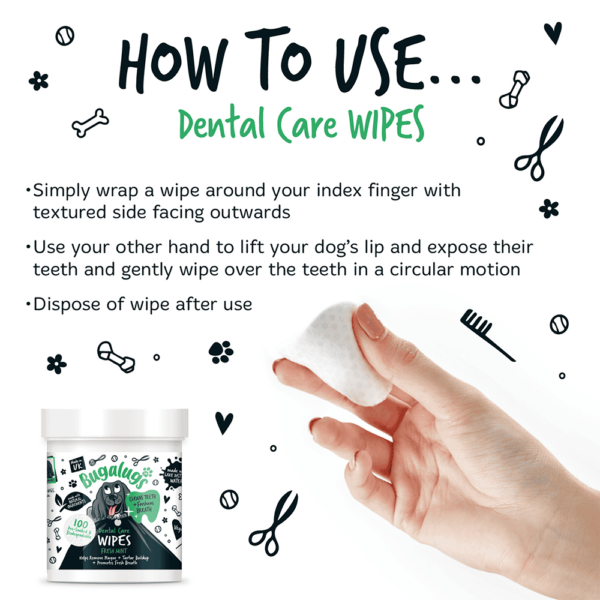 Bugalugs Dental Care Wipes in Fresh Mint - Billede 3