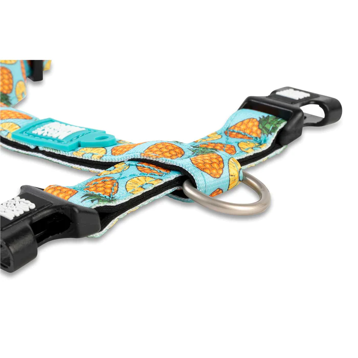 Max & Molly Pineapple H - sele - Billede 4