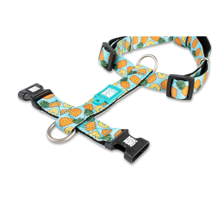 Max & Molly Pineapple H - sele - Billede 3