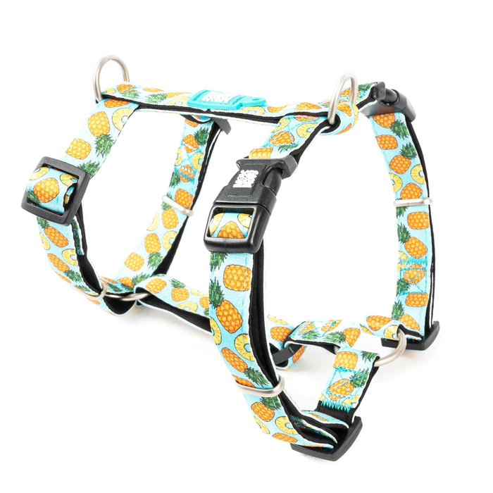 Max & Molly Pineapple H - sele