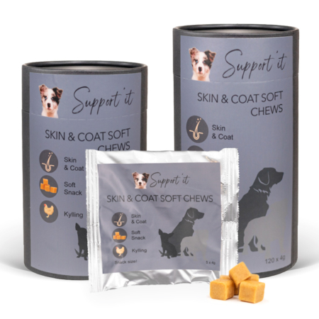 Support'it Skin & Coat soft chews