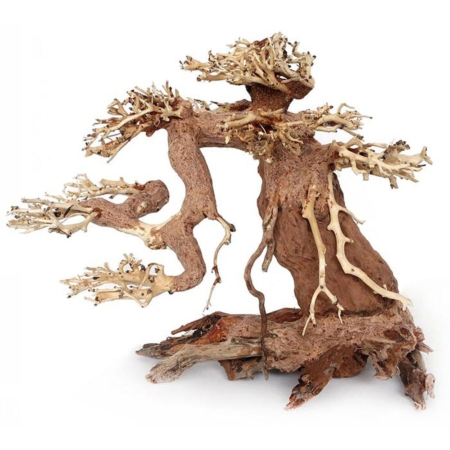 Bonsai Wood M 23x17x10 cm.