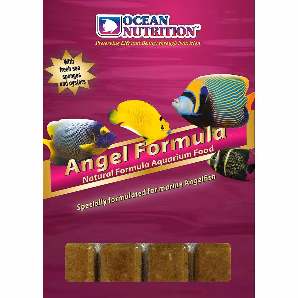 Ocean Nutrition™ frozen Angel Formula 20 kuber 100 g.
