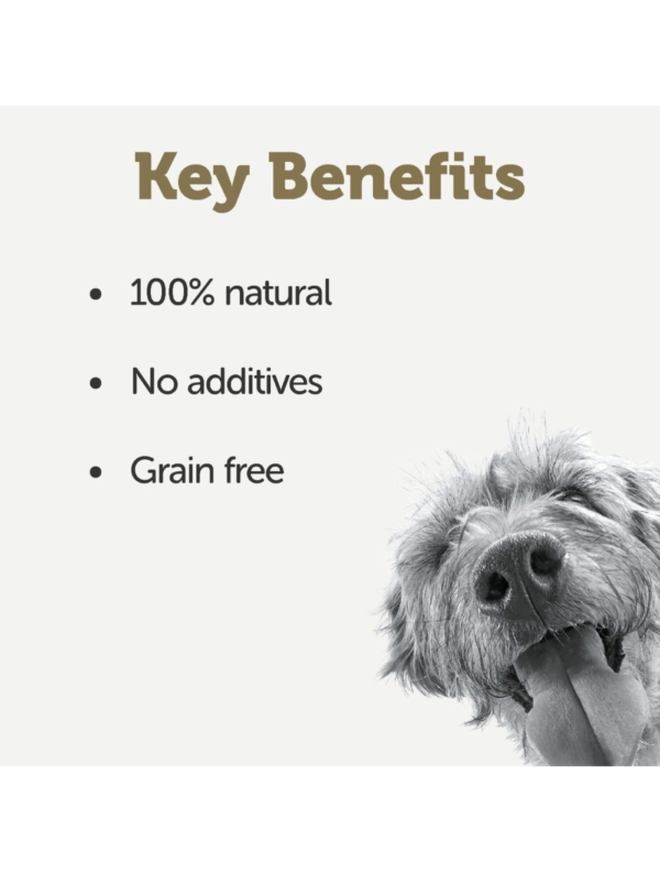 Applaws Taste Toppers Okse sovs til hund 85 g.