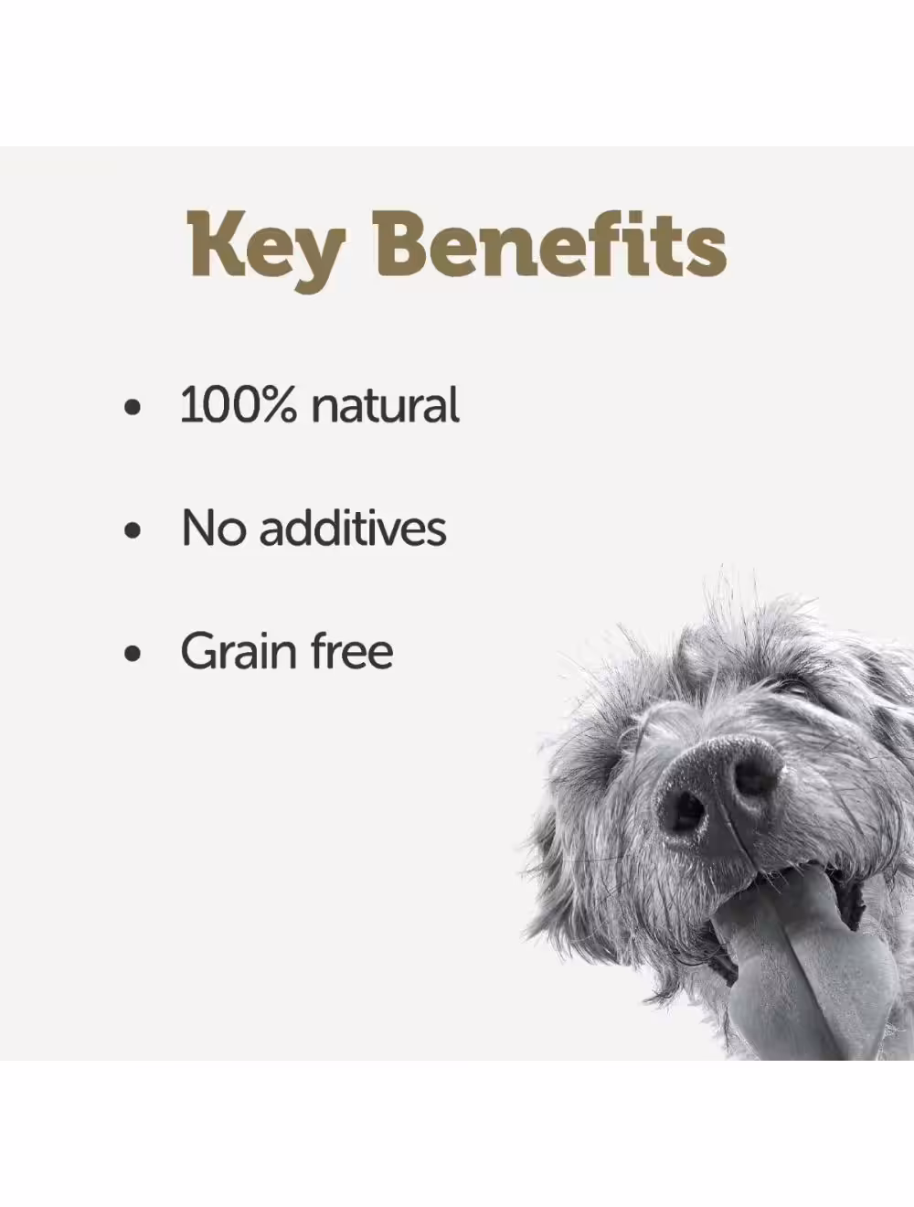Applaws Taste Toppers Lam sovs til hund