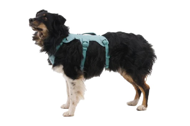 Ruffwear Web Master™ sele River Rock Green