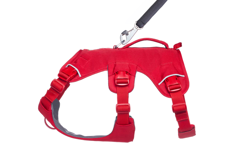 Ruffwear Web Master™ sele Red Canyon
