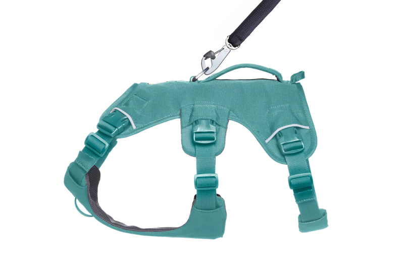 Ruffwear Web Master™ sele River Rock Green