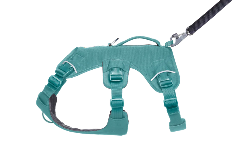 Ruffwear Web Master™ sele River Rock Green