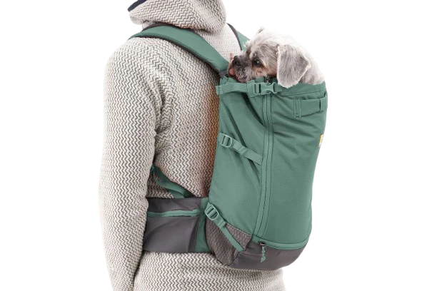 Ruffwear Hitch Hiker™ Dog Backpack Carrier River Rock Green