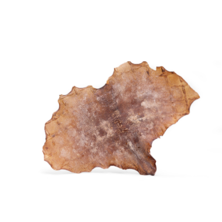 Snack'it Blæksprutteplader 250 g.