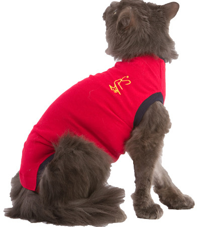 Medical Pet Shirt Small til kat. Rød